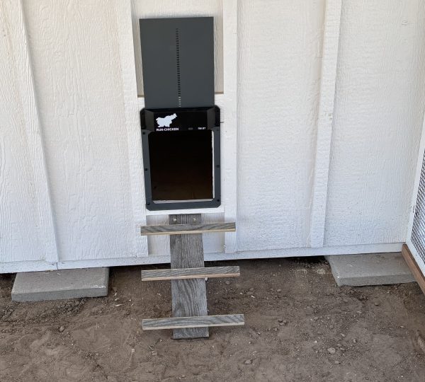 Run-Chicken T50 automatic coop door
