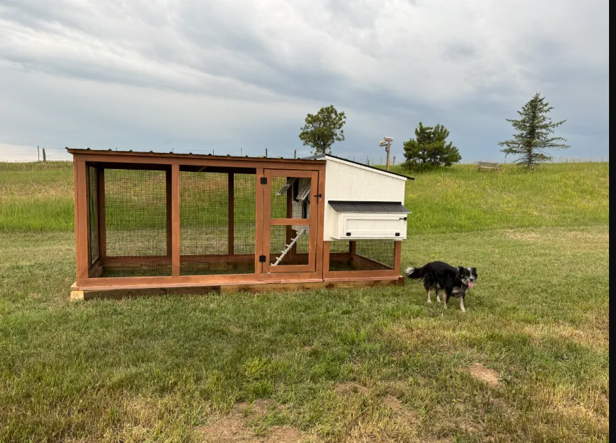 Homesteader Coop — detail 3