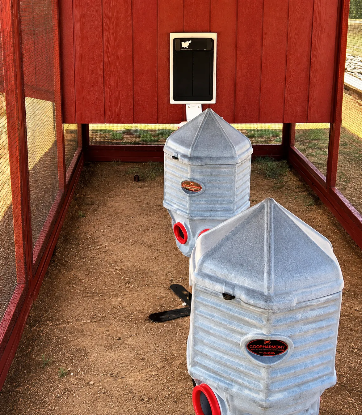 Inside the finished run — feeders and automatic door in place