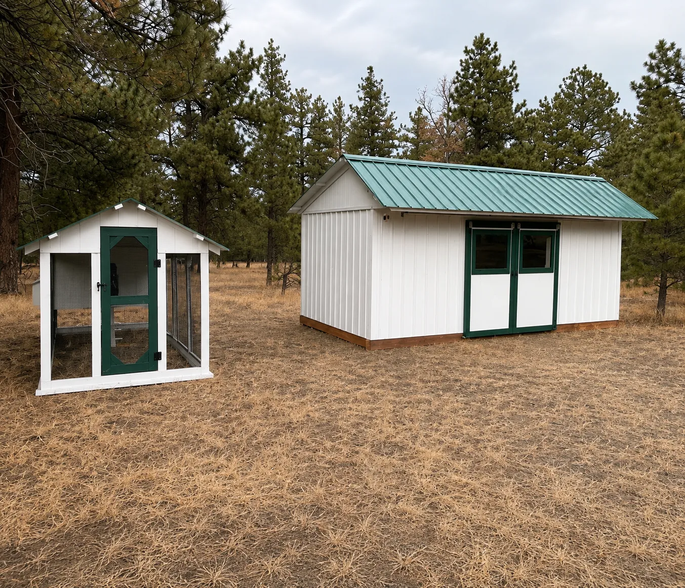 Mini Cow Barns